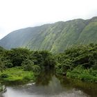 Hinterland - Waipio Valley