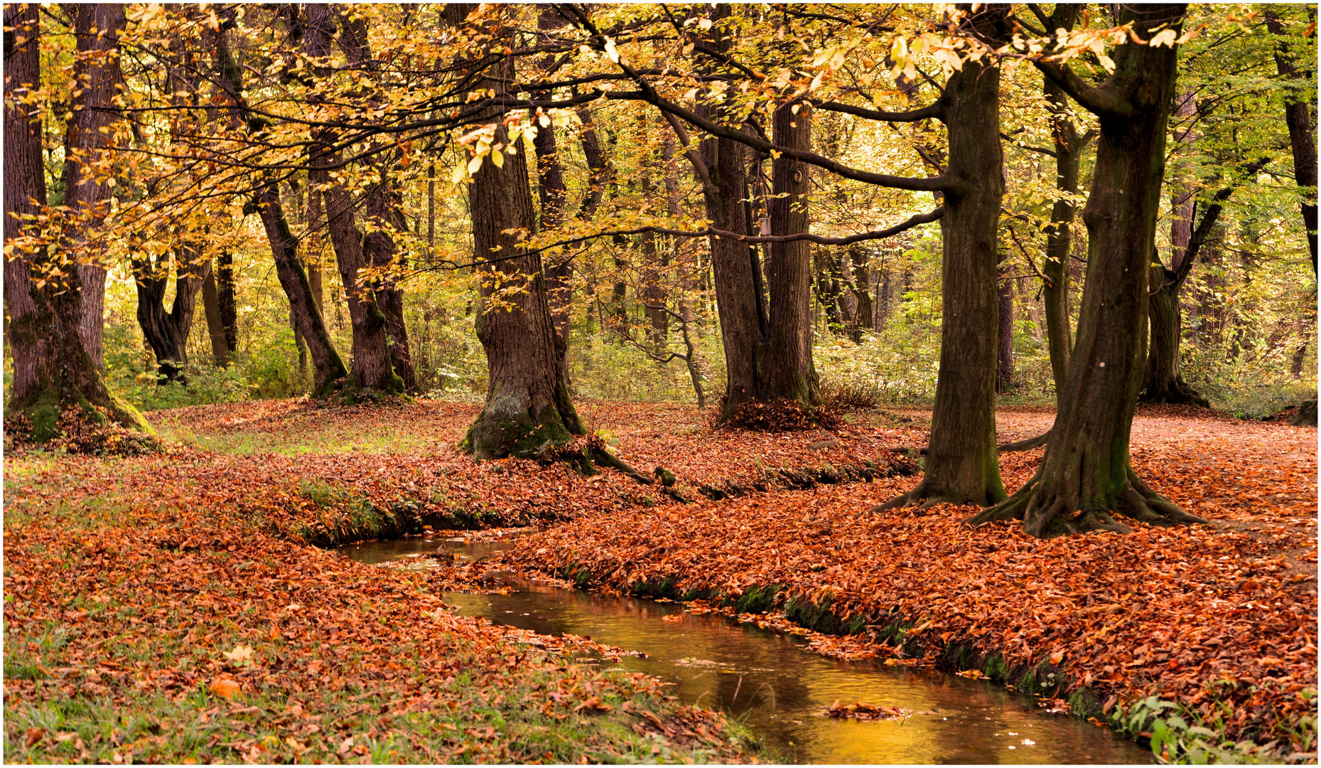 Hinterlasse in der Natur keine Spuren...