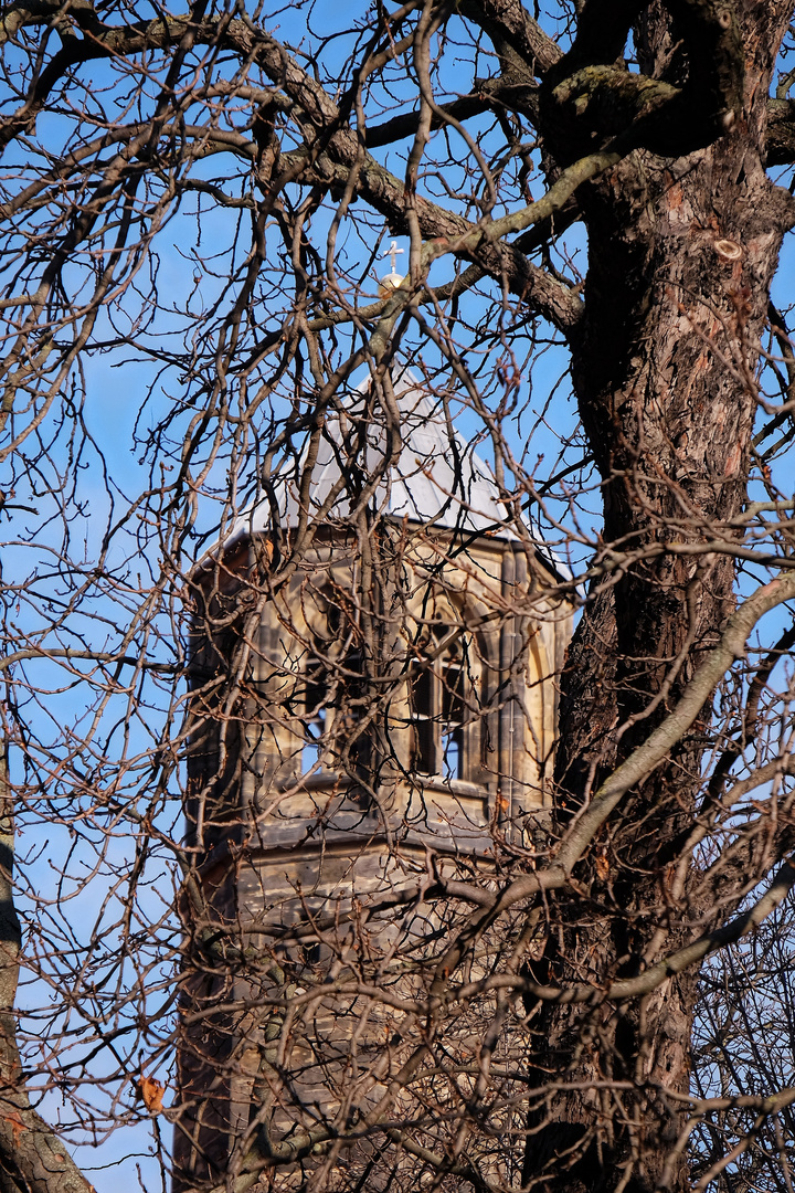 Hinter`m Baum...