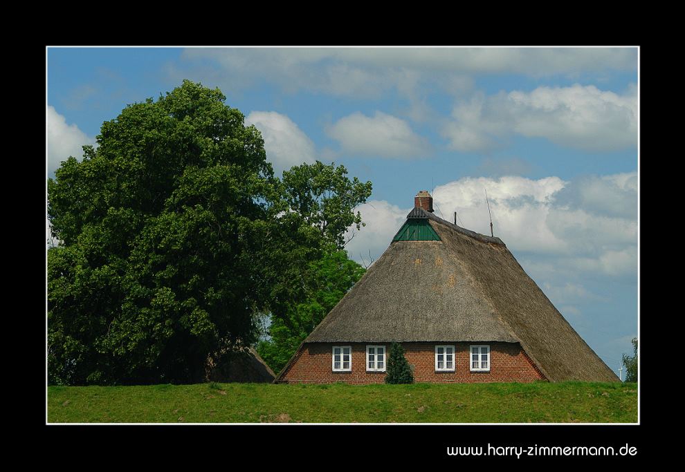 Hinterm Deich (1)