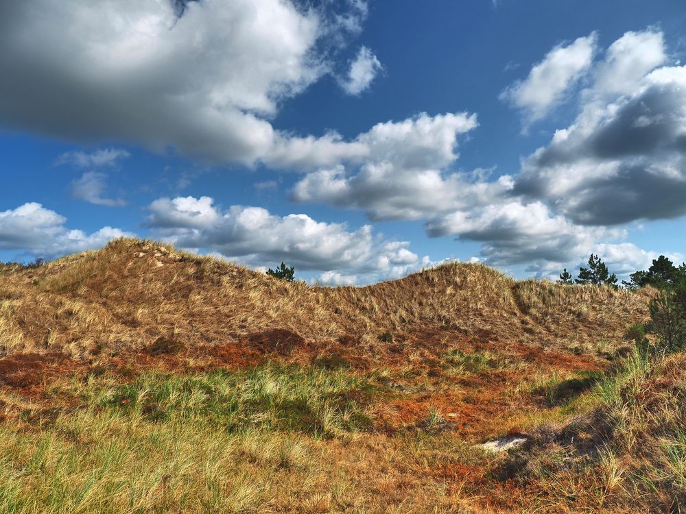 ..hinter'm Deich in den Dünen