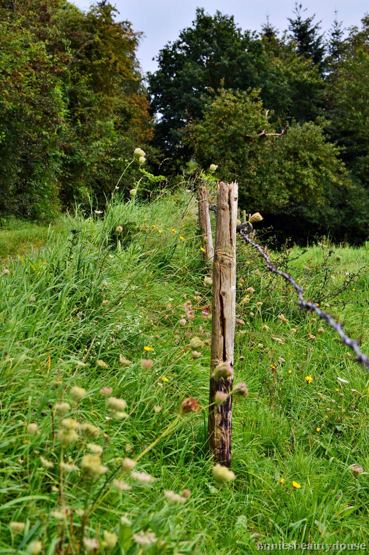 Hinterm Dorf gleich rechts...