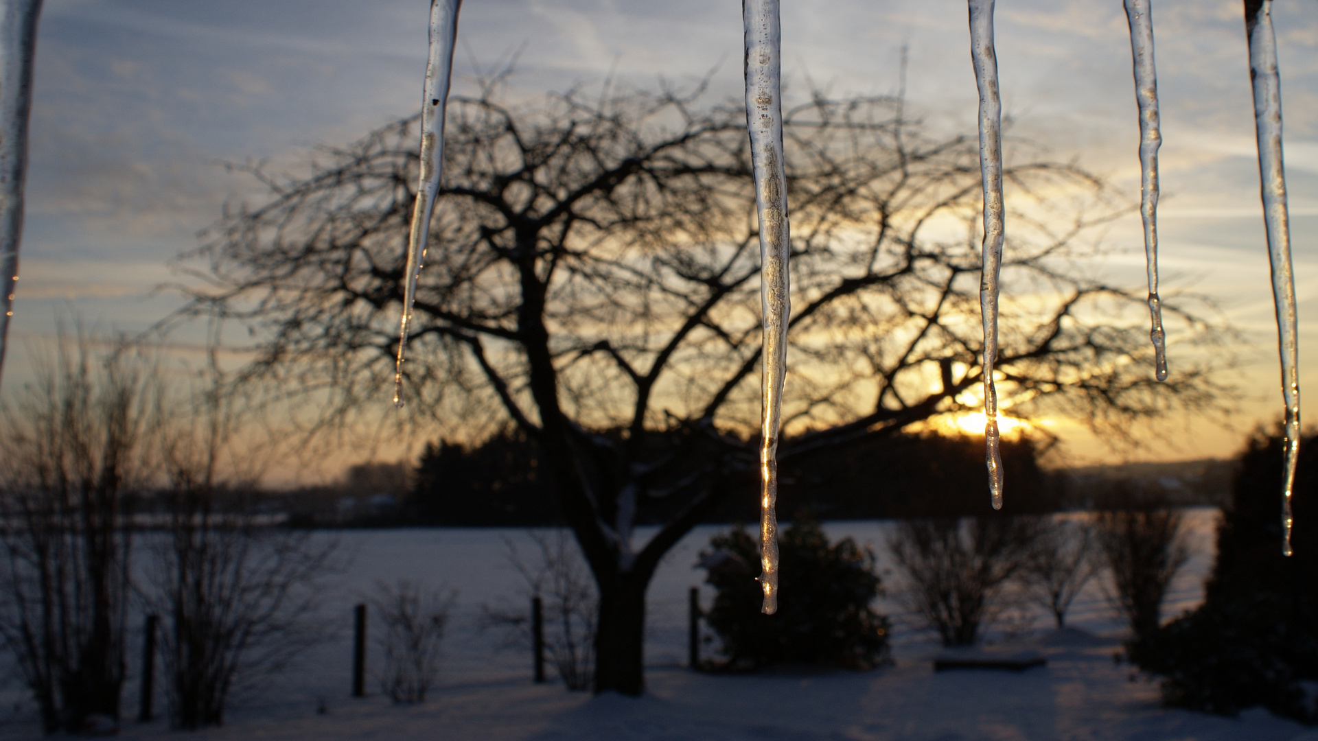 HINTERM EISERNEN VORHANG 2