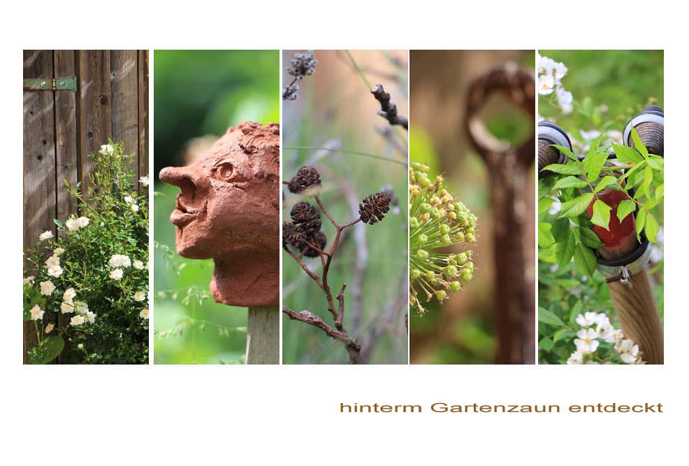 hinterm Gartenzaun entdeckt