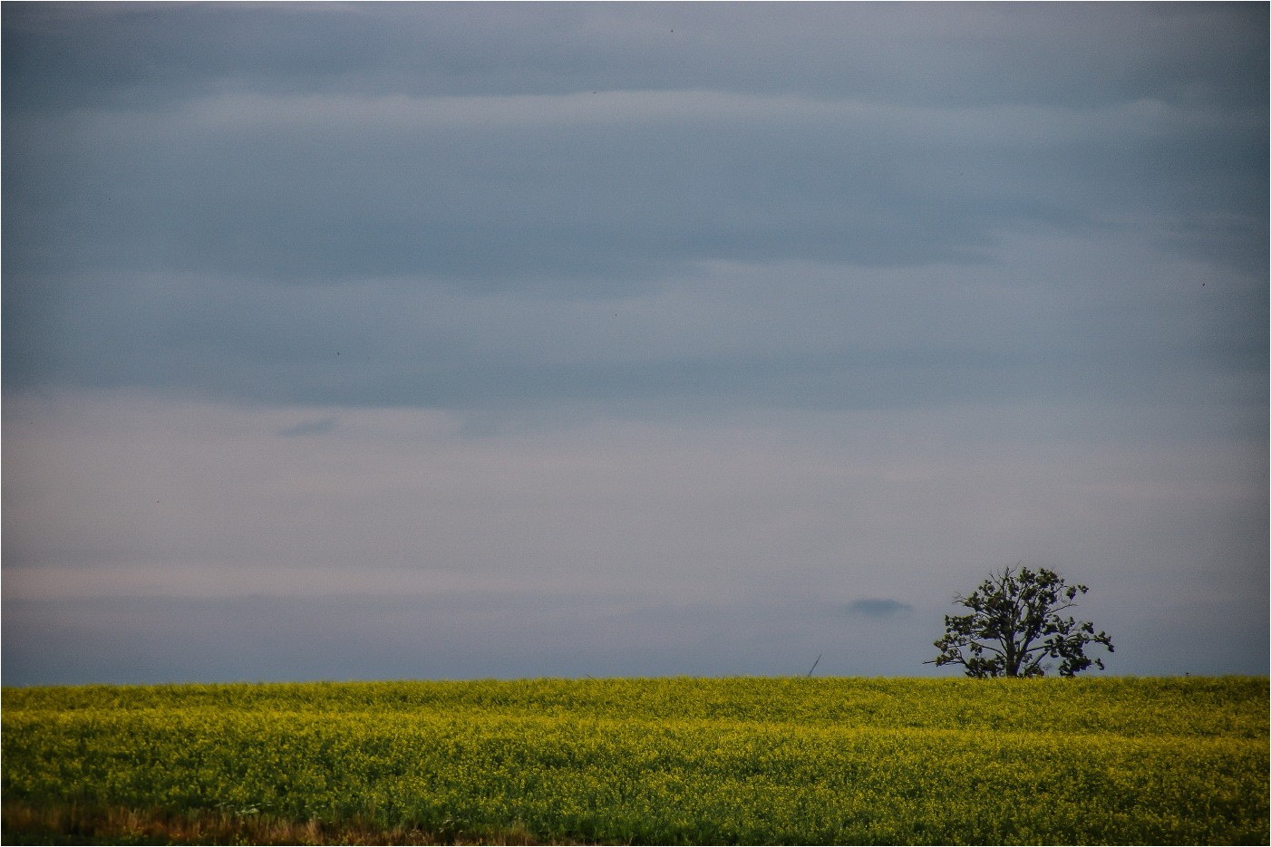 Hinter´m Horizont (1)