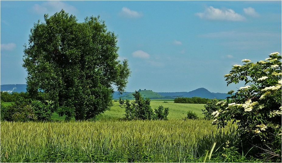 Hinterm Horizont *