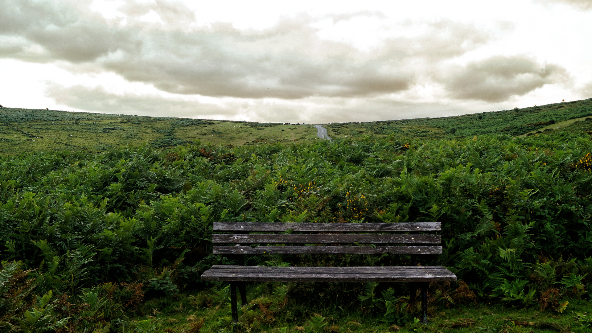 hinterm Horizont