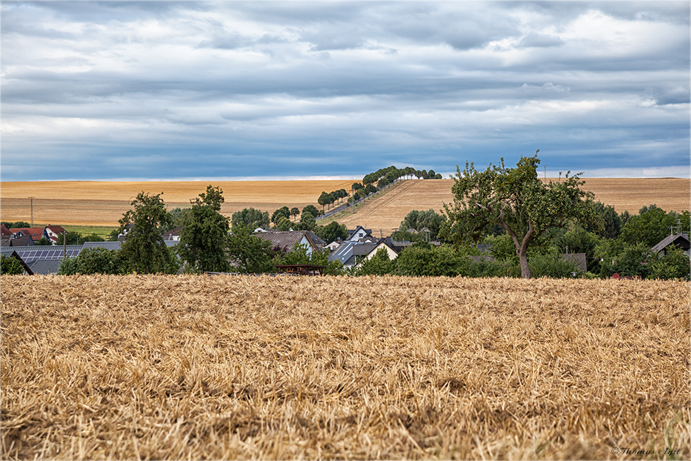 hinterm Horizont...