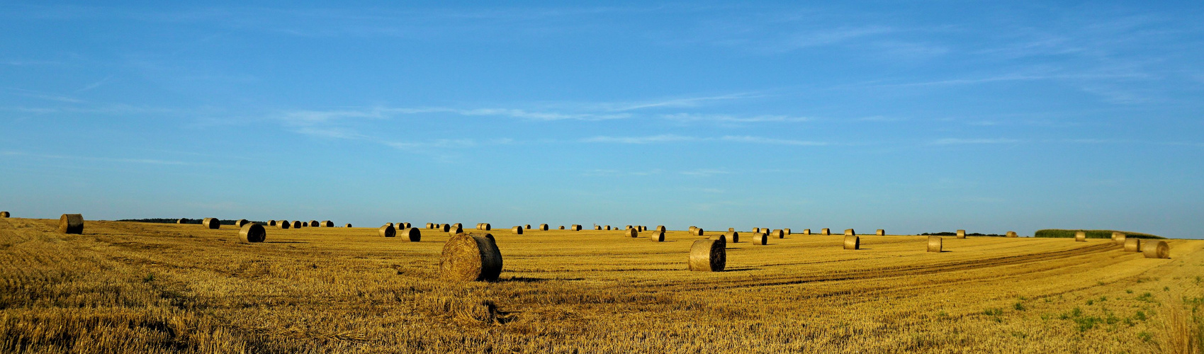 Hinterm Horizont gehts weiter...