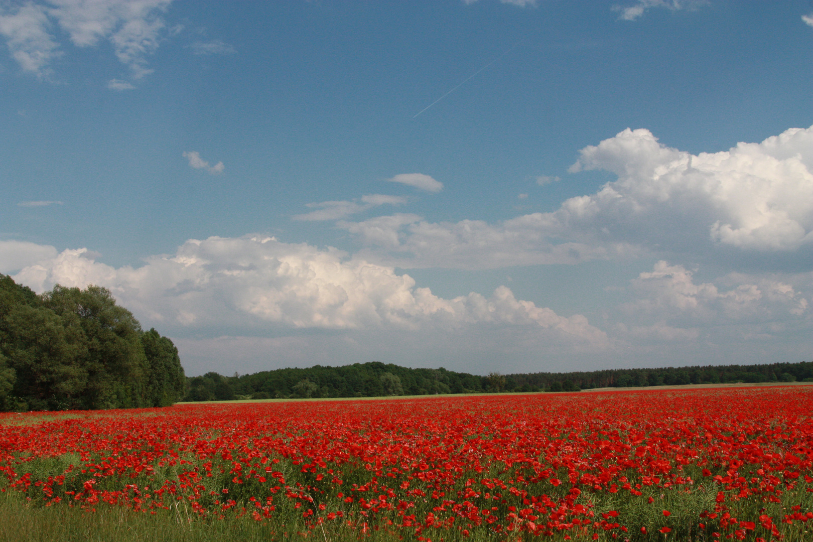 hinterm Horizont gehts weiter...