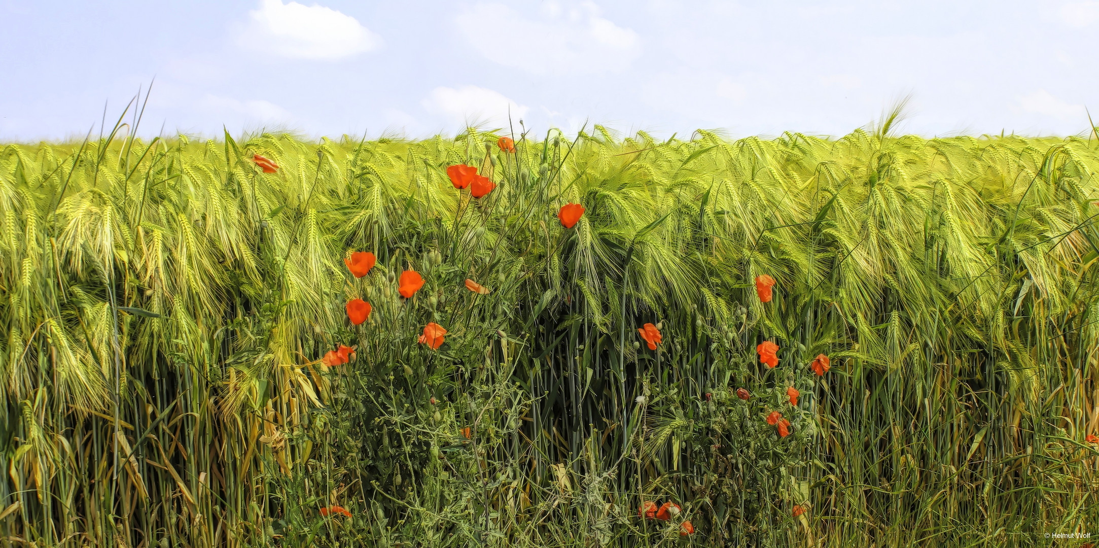 Hinterm Horizont geht's weiter