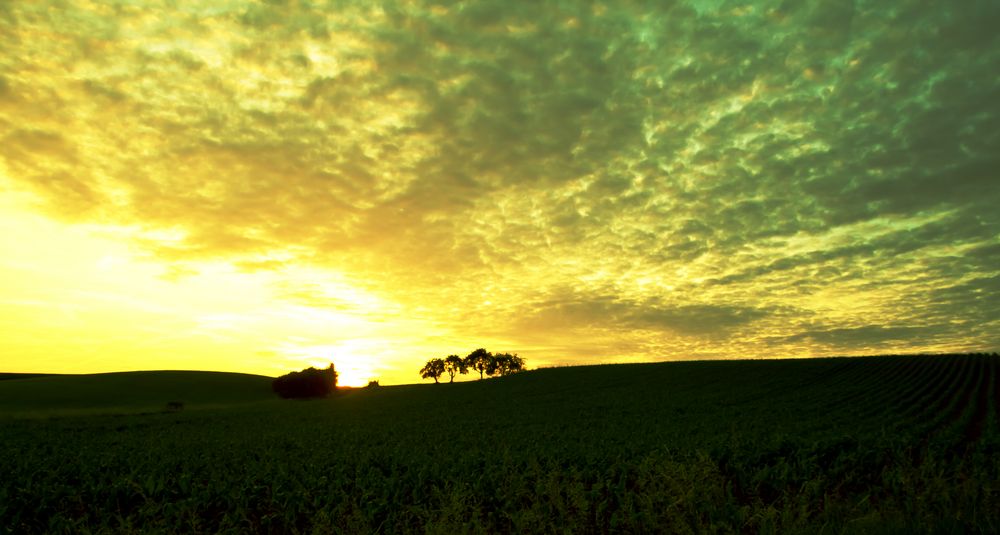 Hinterm Horizont geht*s weiter