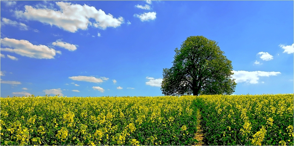 Hinterm HORIZONT gehts weiter...