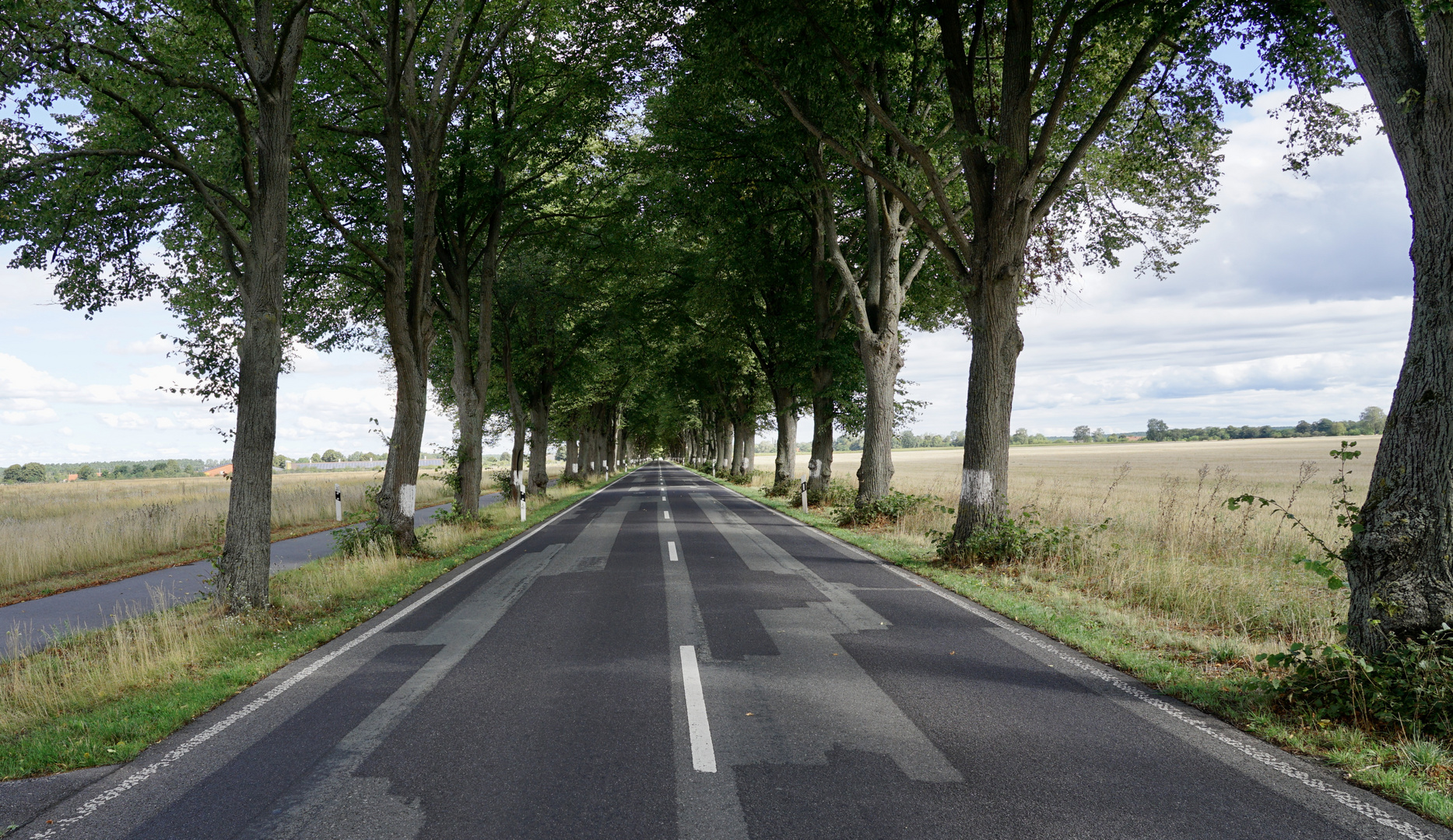 Hinterm Horizont geht's weiter ... / Allee 