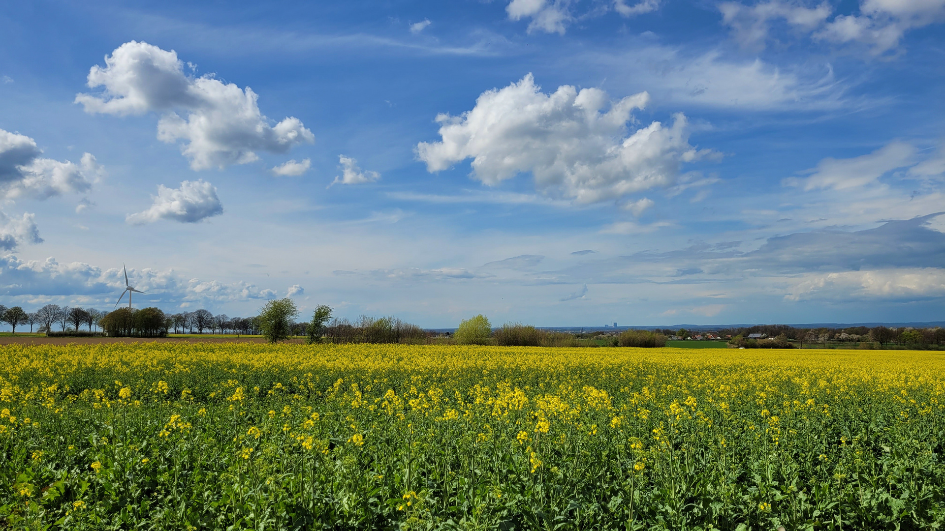 Hinterm Horizont geht's weiter...