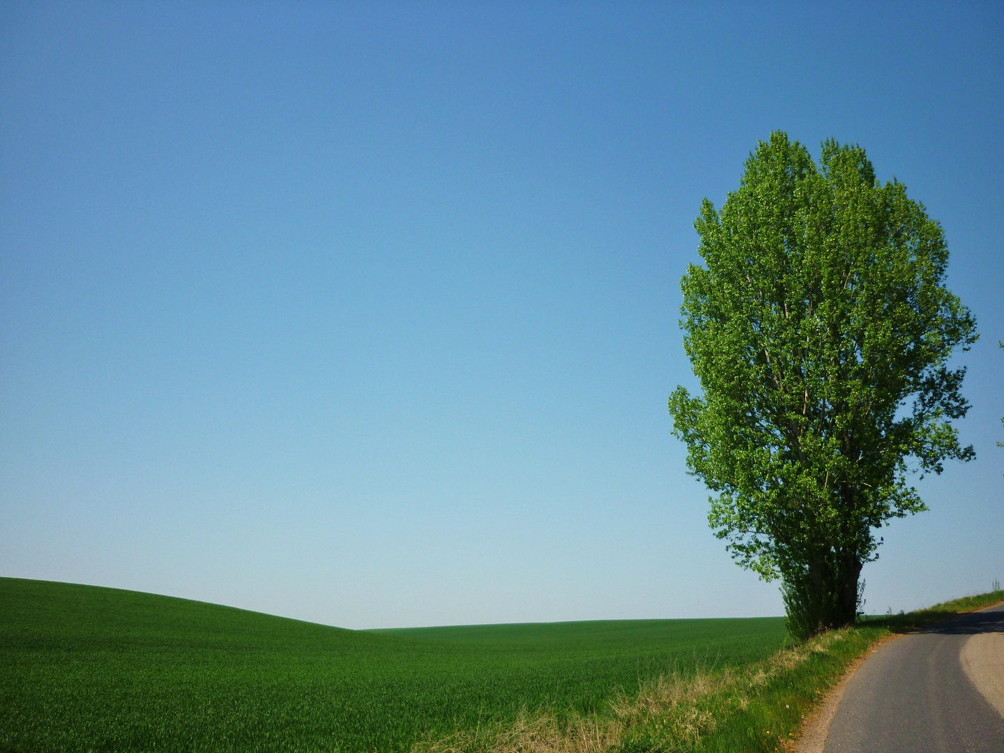 Hinterm Horizont gehts weiter...