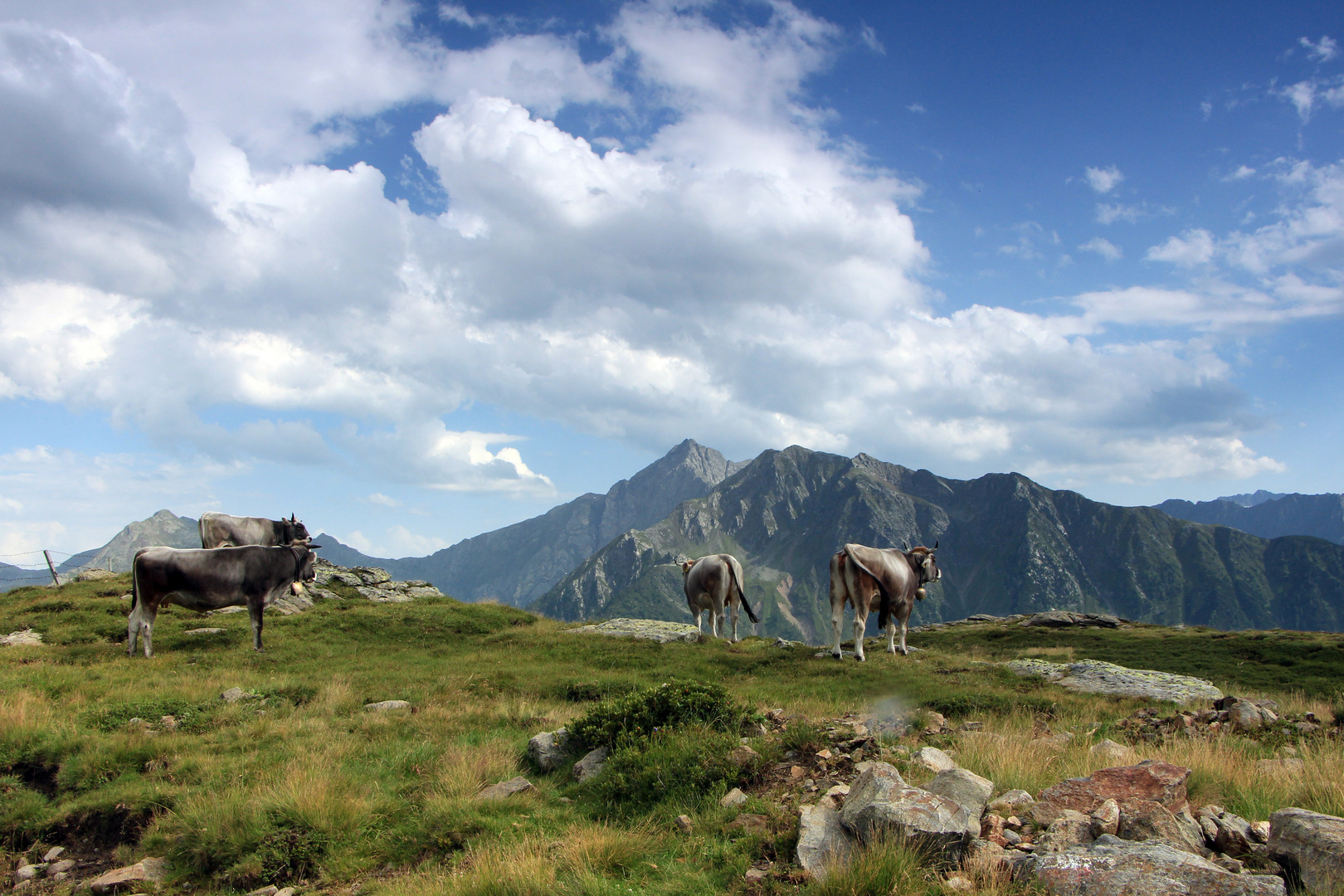 Hinterm Jaufenpass