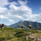 Hinterm Jaufenpass