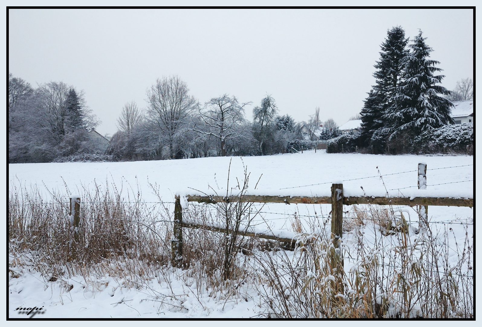 hinter'm Schneefeld...