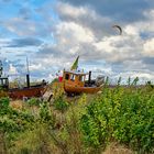 Hinterm Strand in Ahlbeck