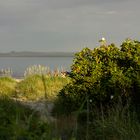 hinterm Strandbewuchs verborgen