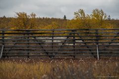 hinterm Zaun fängt der Herbst an