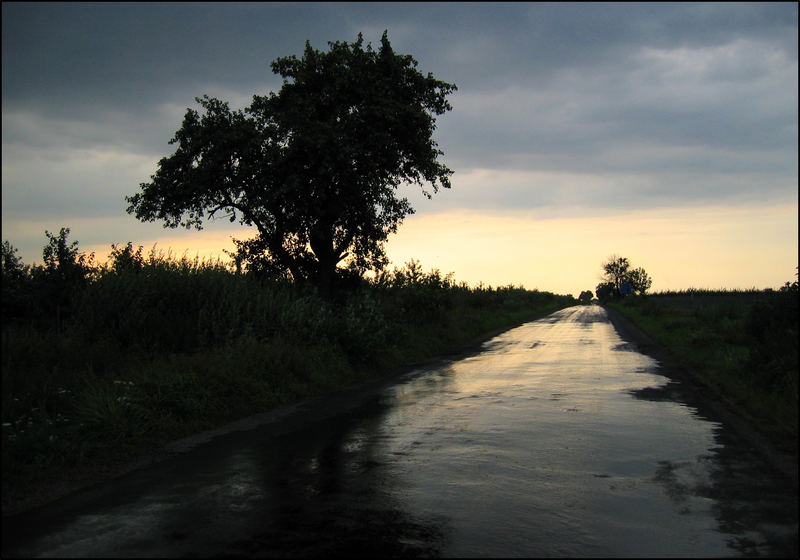 Hinter's Licht geführt