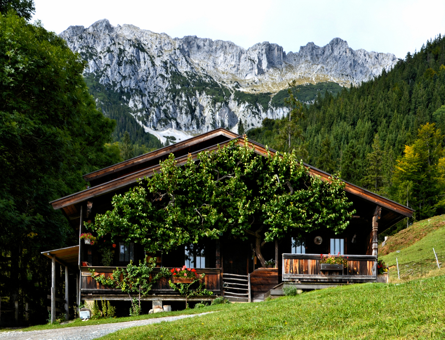 Hinterschießlingalm