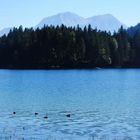 Hintersee (1)