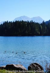 Hintersee (1)