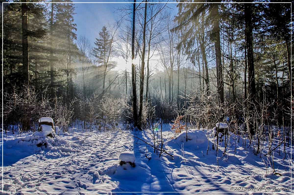 Hintersee 12-2013