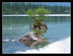 Hintersee