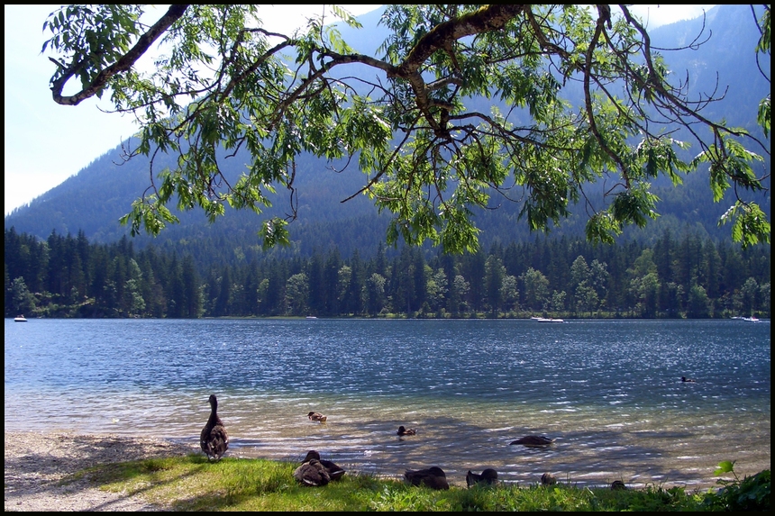 Hintersee