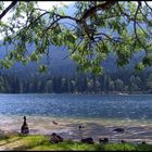 Hintersee