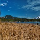 Hintersee - 6 -