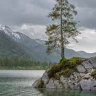 Hintersee