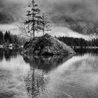 Hintersee