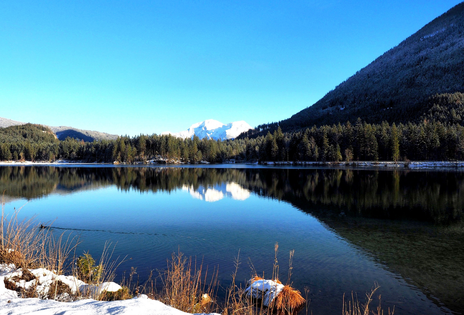 Hintersee