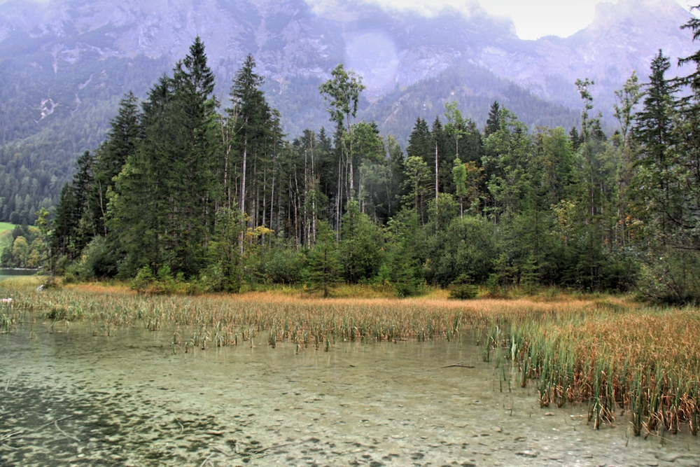 Hintersee bei Regen (2)