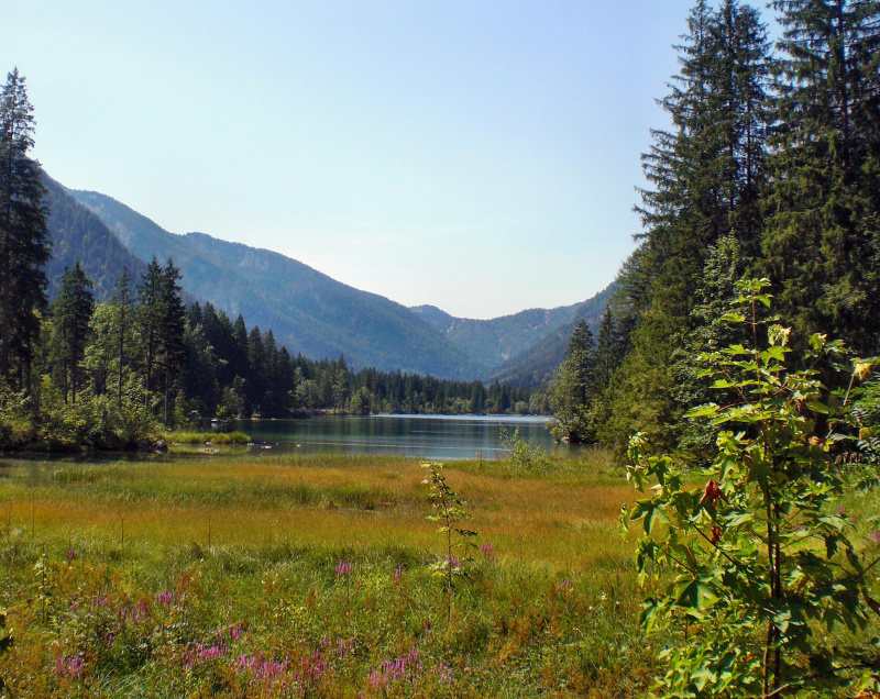 Hintersee (Berchtesgadener Land)