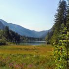 Hintersee (Berchtesgadener Land)