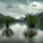 Hintersee