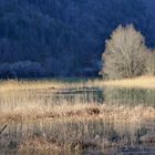 Hintersee Faistenau 