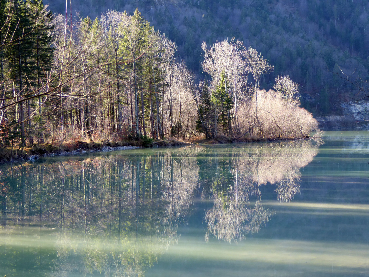 Hintersee Faistenau Spiegelung