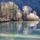 Hintersee Faistenau Spiegelung