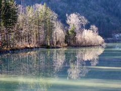 Hintersee Faistenau Spiegelung