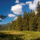 Hintersee III