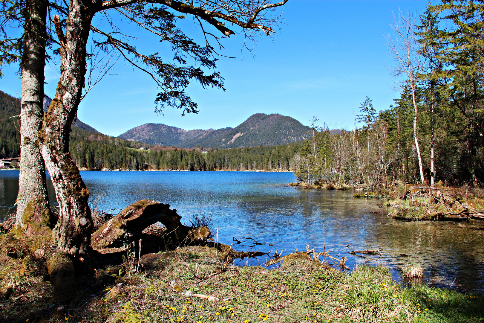 Hintersee im April