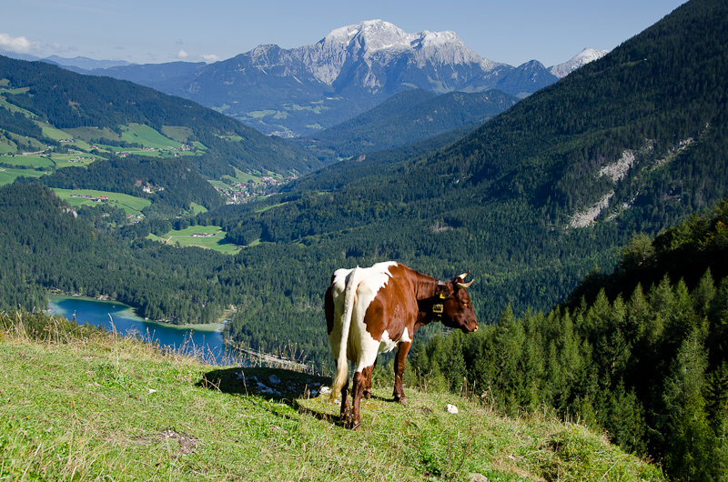 Hintersee im Berchtesgadener Land