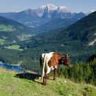 Hintersee im Berchtesgadener Land